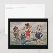 Carte Postale Mixed Bathing - Dog and Cats Postcard (Devant / Derrière)