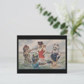 Carte Postale Mixed Bathing - Dog and Cats Postcard (Debout devant)
