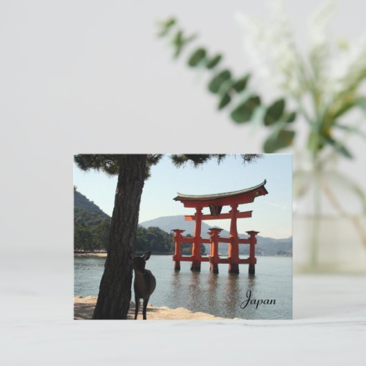 Carte Postale miyajima deer (Debout devant)