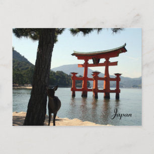Carte Postale miyajima deer