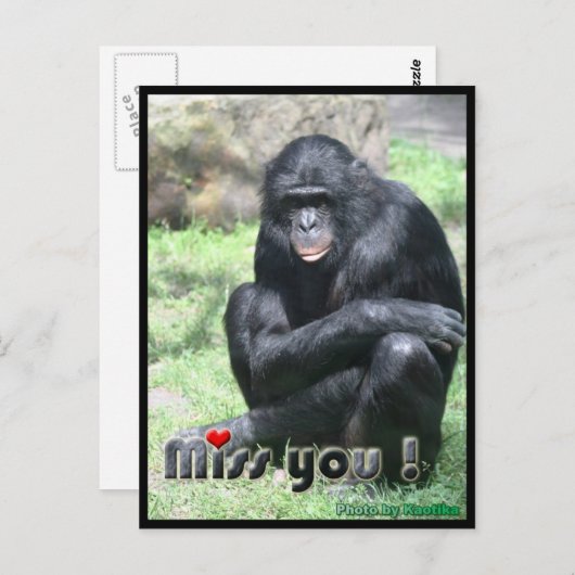 Carte Postale Mlle, chimpanzé (Devant / Derrière)