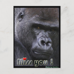 Carte Postale Mlle Gorilla