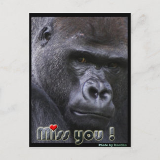 Carte Postale Mlle Gorilla