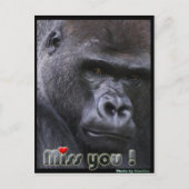 Carte Postale Mlle Gorilla (Devant)