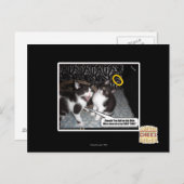 Carte Postale Mlle Innocent (Devant / Derrière)