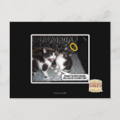 Carte Postale Mlle Innocent (Devant)