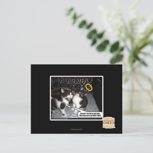 Carte Postale Mlle Innocent (Debout devant)