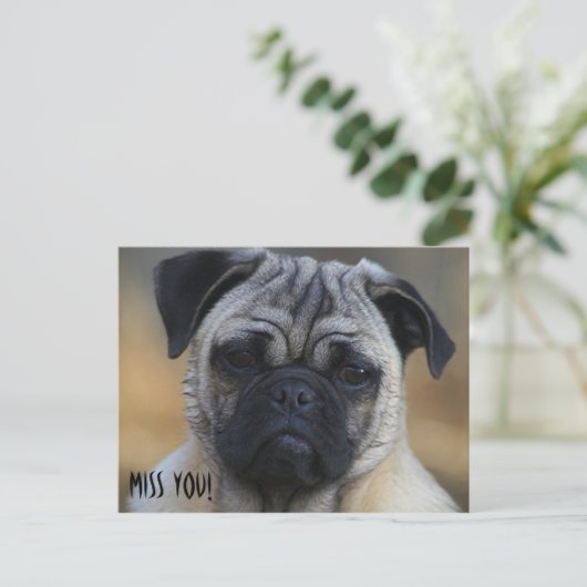 Carte Postale Mlle VOUS ! (Debout devant)