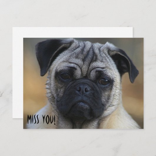 Carte Postale Mlle VOUS ! (Devant / Derrière)