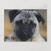 Carte Postale Mlle VOUS ! (Devant)