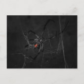 Carte Postale Mme Black (Devant)