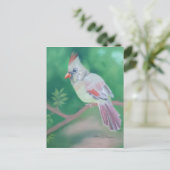 Carte Postale Mme Cardinal (Debout devant)