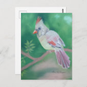 Carte Postale Mme Cardinal (Devant / Derrière)