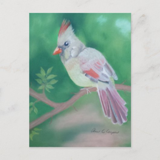 Carte Postale Mme Cardinal (Devant)