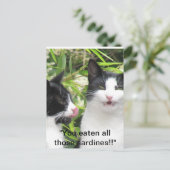 Carte Postale "mmmmm sardines ! ! ! ! ! (Debout devant)
