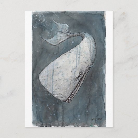 Carte Postale Moby Dick (Devant)