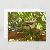 Carte Postale Mocking Bird (Devant / Derrière)