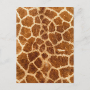 Carte Postale mode rustique africaine safari animal girafe impri
