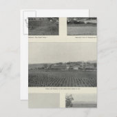 Carte Postale Model Vineyards, Californie (Devant / Derrière)