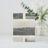 Carte Postale Model Vineyards, Californie (Debout devant)