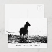 Carte Postale Modèle animal à cheval de course personnalisable (Devant / Derrière)