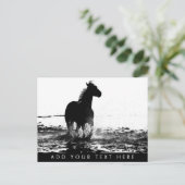 Carte Postale Modèle animal de cheval à courir client (Debout devant)