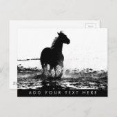 Carte Postale Modèle animal de cheval à courir client (Devant / Derrière)