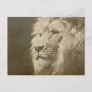 Carte Postale Modèle d'art pop moderne de tête de lion animal le