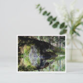Carte postale modèle de Black Pond (Debout devant)