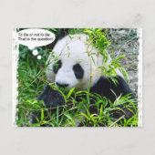 Carte Postale Modèle de citation d'art pop moderne Panda Tendanc (Devant)