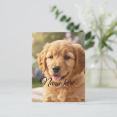 Carte Postale Modèle de photo de nom d'animal de compagnie simpl (Debout devant)