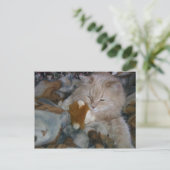 Carte Postale Modèle de rôle (Debout devant)