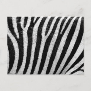 Carte Postale Modèle de texture de la peau zébrée noir et blanc