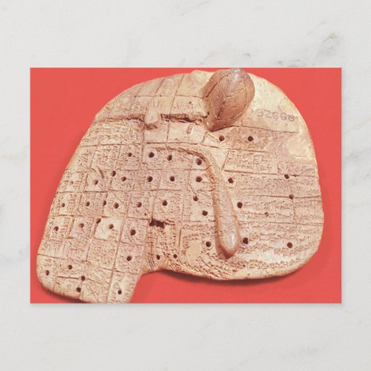 Carte Postale Modèle du foie d'un mouton (Devant)