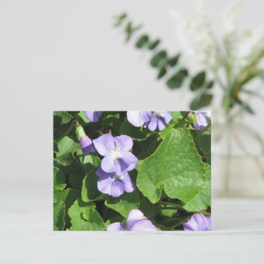 Carte postale Modèle horizontal - Customisé (Debout devant)