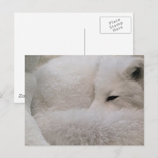 Carte postale Modèle horizontal - Customisé (Devant / Derrière)