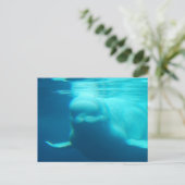 Carte postale Modèle horizontal - Customisé (Debout devant)