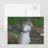 Carte postale Modèle horizontal - Customisé (Devant / Derrière)