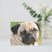 Carte postale Modèle horizontal - Customisé (Debout devant)