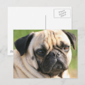 Carte postale Modèle horizontal - Customisé (Devant / Derrière)