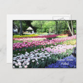 Carte postale Modèle, jardins fleuris (Devant / Derrière)