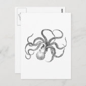Carte Postale Modèle Octopus vintage (Devant / Derrière)