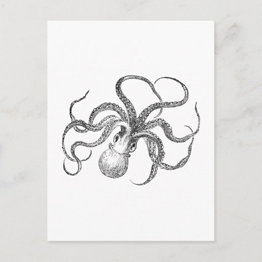 Carte Postale Modèle Octopus vintage (Devant)