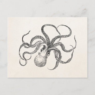 Carte Postale Modèle Octopus vintage sur papier antique