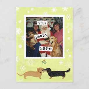 Carte Postale Modèle photo Dachshund Mistletoe Wiener Dogs