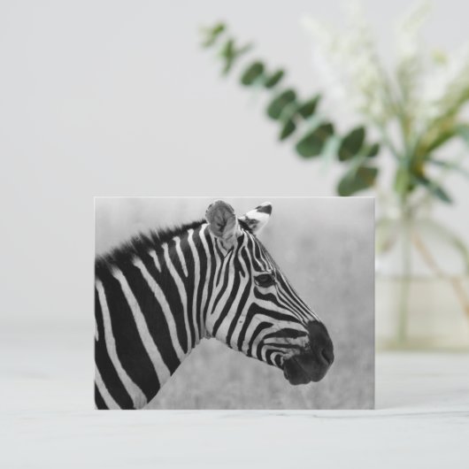 Carte Postale Modèle zèbre noir et blanc cool (Debout devant)