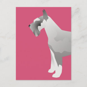 Carte Postale Modèles Schnauzer prêts à Customiser