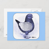 Carte Postale Modena Argent Pigeon (Devant / Derrière)