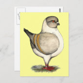 Carte Postale Modena Silver Gazzi (Devant / Derrière)