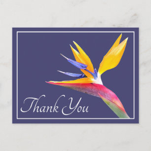 Carte Postale Moderne Belle Oiseau de Paradis Floral Merci